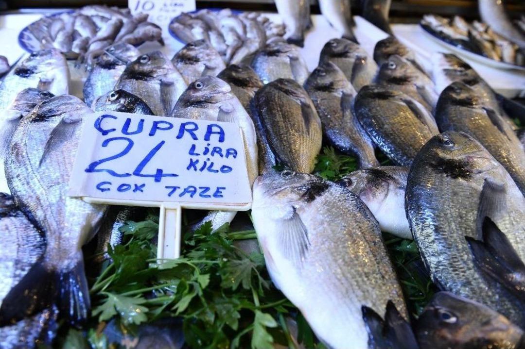 Ramazanda Balık&ccedil;ılar Sinek Avlıyor