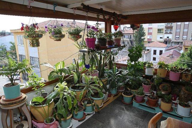 Buca’nın Balkonları Yarışıyor 2