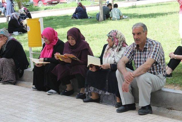 Elazığ’da Lys Heyecanı