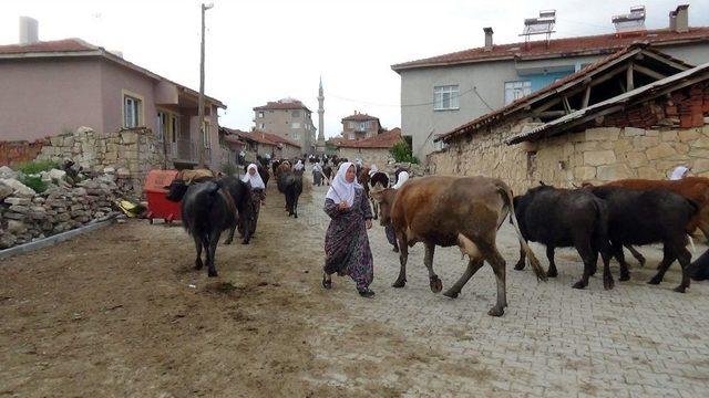 Balta, Tırpan Ve Tarım Aletleriyle Eylem Yapan İnk&ouml;y Mahallesi Sakinleri, Sorunlarının &Ccedil;&ouml;z&uuml;lmesini İstiyor 2