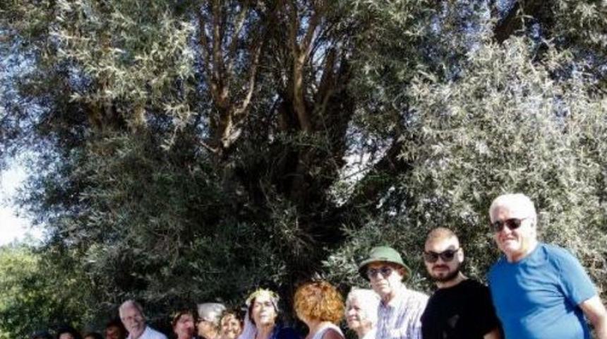 Bodrum'da 2 Bin Yıllık Zeytinin G&ouml;lgesinde Eylem