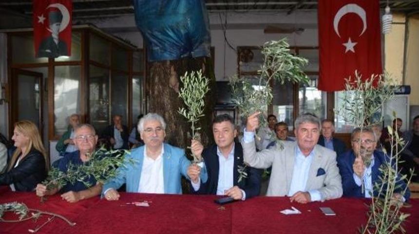 Erdek Ve Bandırma'da Zeytin Eylemi