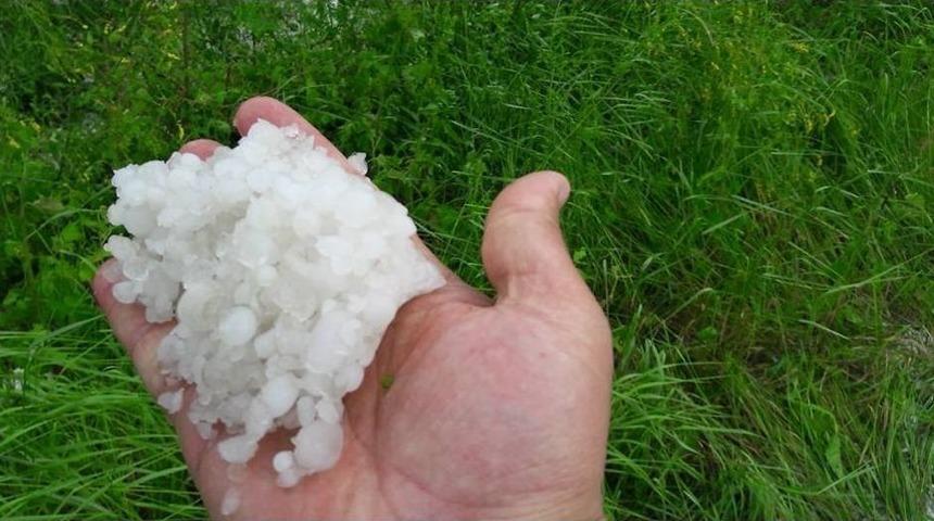 Tokat&rsquo;ta Dolu Zarar Tespit &Ccedil;alışması Başlatıldı