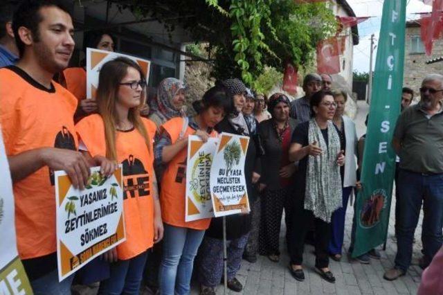 Yırca'da Üreticilerin 'zeytinime Dokunma' Protestosu