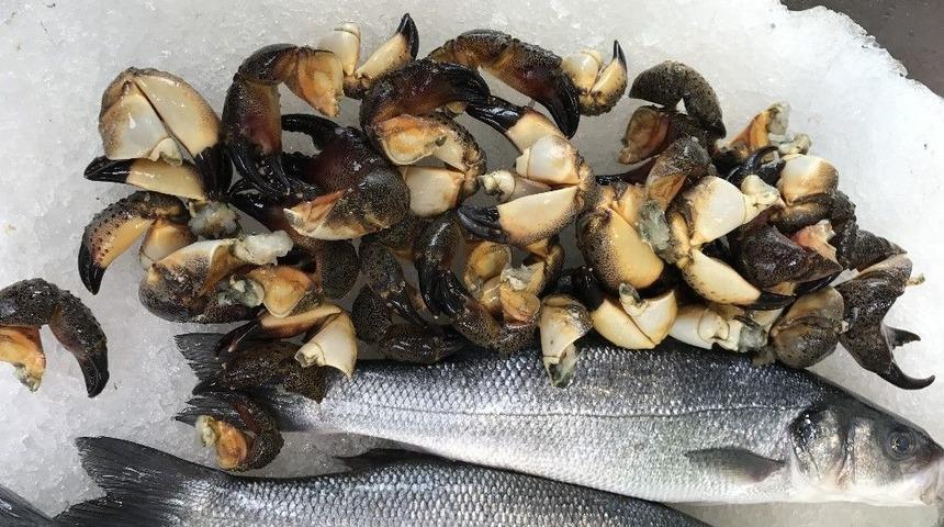 Bir Kilo Yenge&ccedil; Bacağı 10 Tl