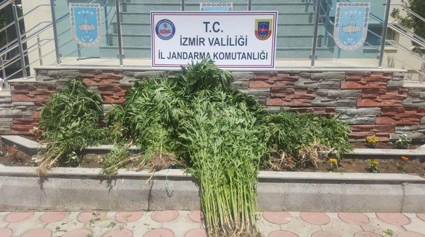 İzmir&rsquo;de Uyuşturucu Operasyonu: 5 G&ouml;zaltı