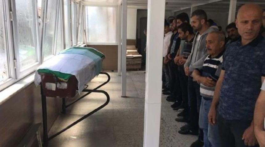 Bonzai Kurbanı Toprağa Verildi