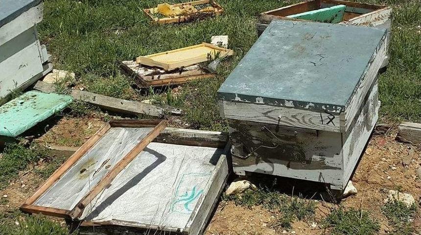 Sarıveliler&rsquo;de Ayı, Arı Kovanlarına Zarar Verdi