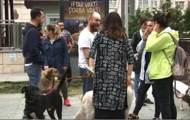 Cihangir'de Köpek Gezdirme Tartışmasında Vantilatör Ayağı Ile Saldırı