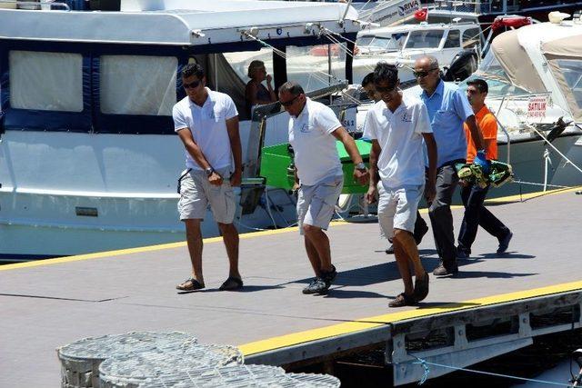 Gümbet Koyunda Genç Erkek Cesedi Bulundu 2