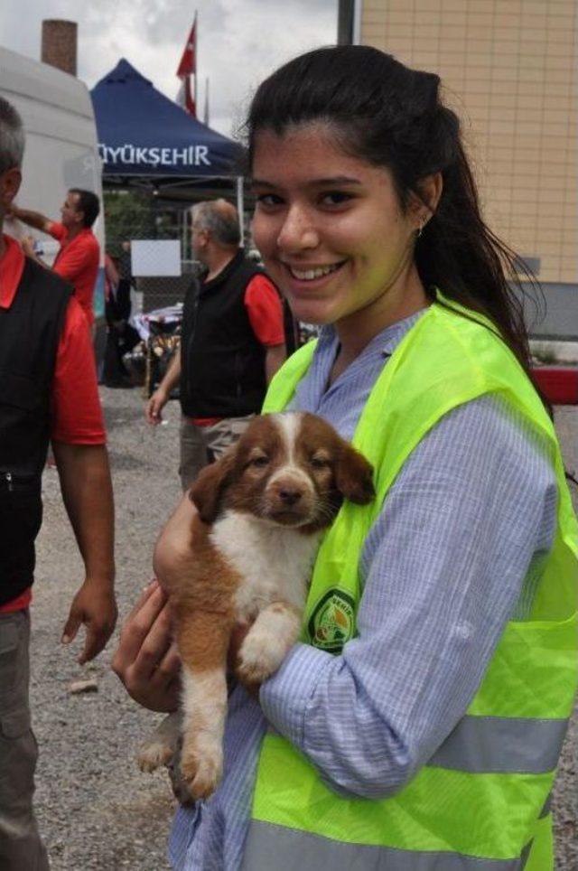 Eskişehir de  pati Şenliği nde  satın Alma Sahiplen  Etkinliği 1