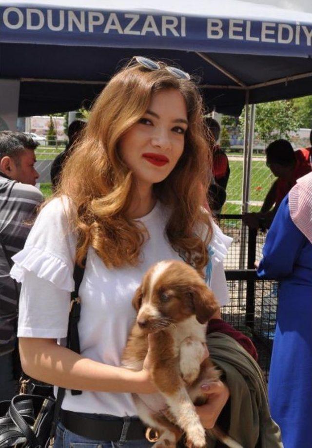 Eskişehir de  pati Şenliği nde  satın Alma Sahiplen  Etkinliği 3