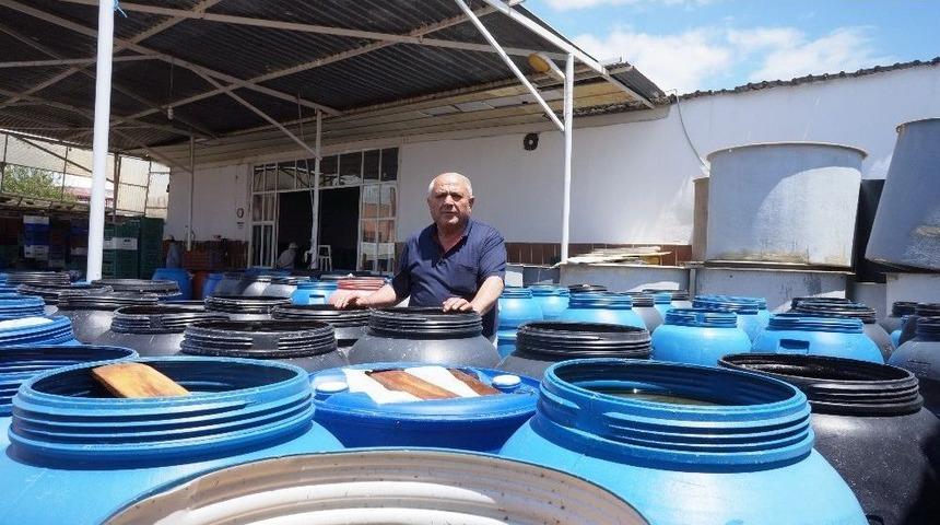 &Uuml;z&uuml;m Bağından Salamuraya