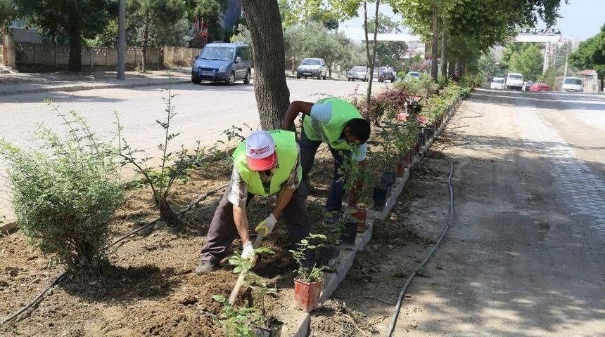 Turgutlu’da Refüjler Güllerle Donatılıyor