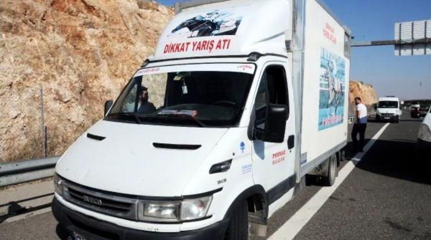 Yarış Atı Taşıyan Kamyonette 10 Kilo Esrar Ele Ge&ccedil;ti
