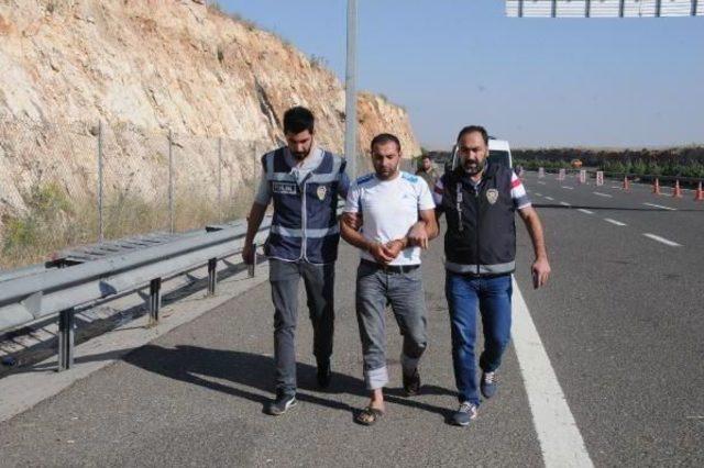 Yarış Atı Taşıyan Kamyonette 10 Kilo Esrar Ele Ge&ccedil;ti 2