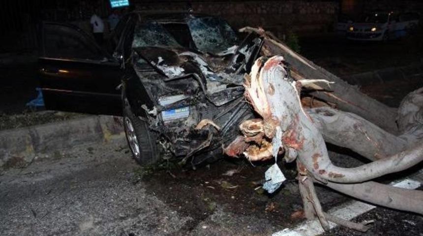 Ağaca &Ccedil;arpan Otomobilde &Ouml;ld&uuml;