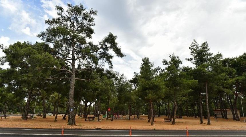 Kepez&rsquo;de Kiriş&ccedil;iler Mesire Alanı Hizmette