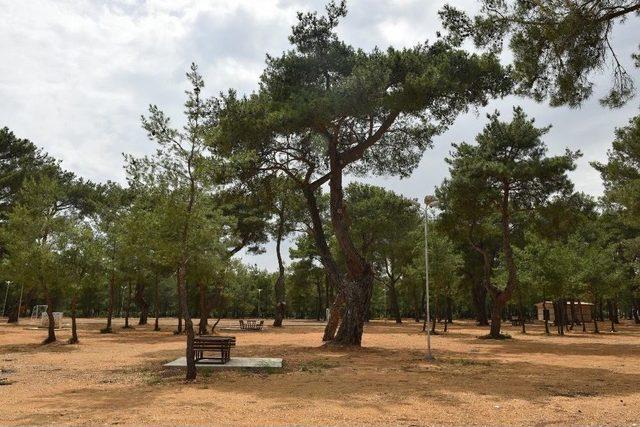 Kepez&rsquo;de Kiriş&ccedil;iler Mesire Alanı Hizmette 3