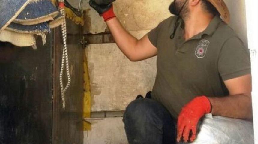 Yarış Atı Taşıyan Ara&ccedil;tan Uyuşturucu &Ccedil;ıktı