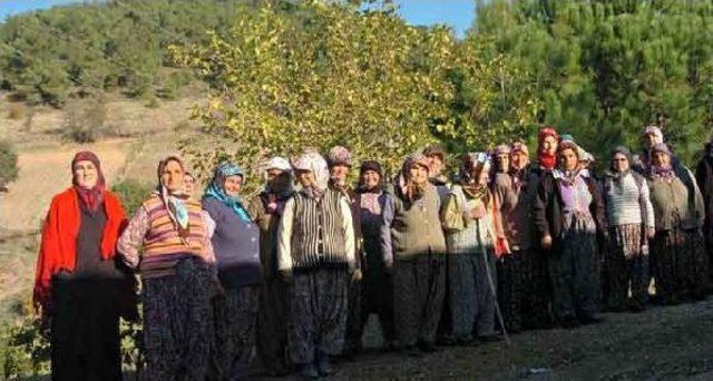 Kaz Dağları'nda Feldspat Madeni Mücadelesi Yeniden Başlıyor