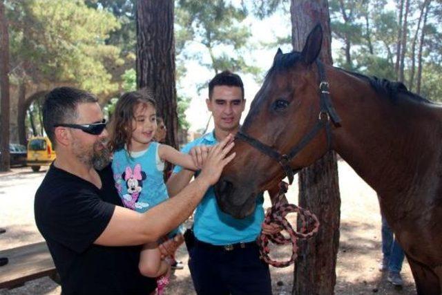 Atlı Jandarma, Kemer Sahillerinde Güvenliği Sağlayacak