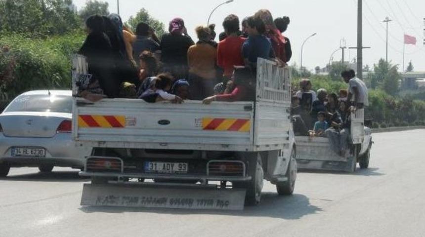 Kamyonet Kasasında Tehlikeli Yolculuk
