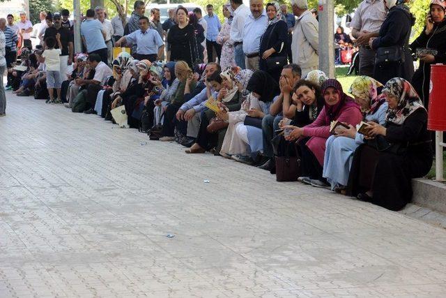 Elazığ&rsquo;da Lys Heyecanı 1