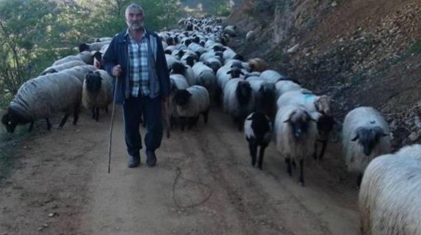 Giresunlu Yaylacıların Yayla Sorunu