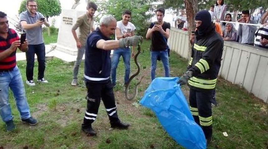 Bilim Ve Sanat Merkezinin Bah&ccedil;esinde Yılan Operasyonu