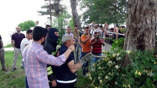 Bilim Ve Sanat Merkezinin Bah&ccedil;esinde Yılan Operasyonu 1