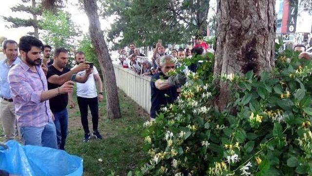 Bilim Ve Sanat Merkezinin Bah&ccedil;esinde Yılan Operasyonu 3