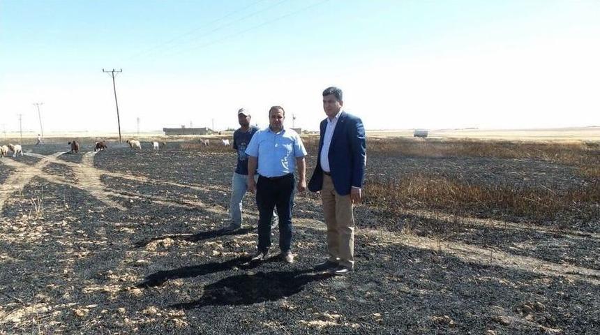Harran&rsquo;da 300 Dekar Hububat Ekili Alan Yandı