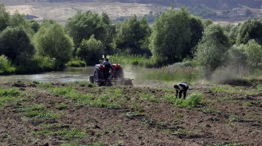 Diyarbakır Karpuzu Artık Festivaller İ&ccedil;in &Uuml;retiliyor