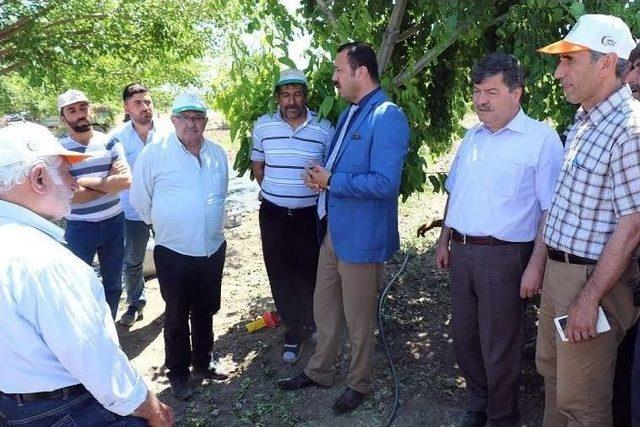 Elazığ&rsquo;da Dolunun 40 Bin Dekar Alanı Etkilediği Ortaya &Ccedil;ıktı 1