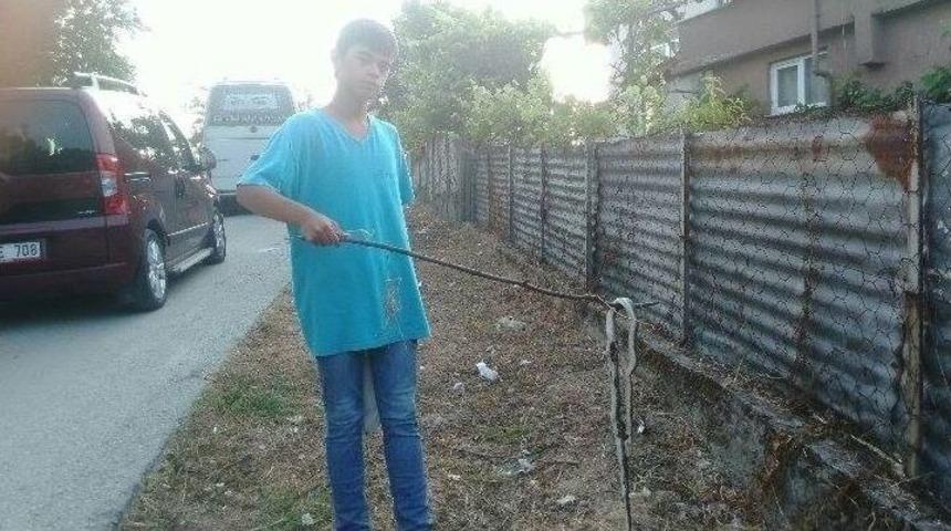 Ak&ccedil;akocalı &Ccedil;ift&ccedil;ileri Yılan Korkusu Sardı