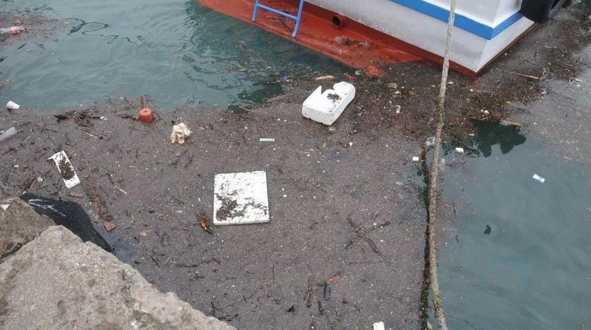 Karadeniz &Ccedil;&ouml;pleri Limana Taşıdı