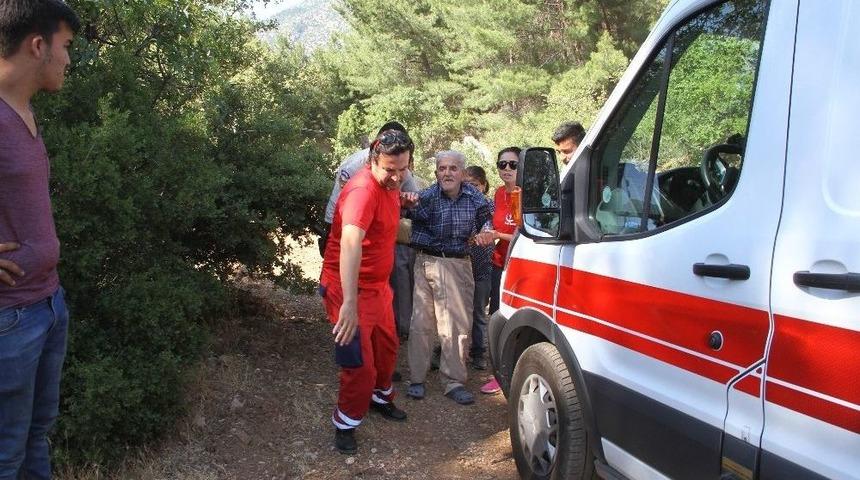 Alzheimer Hastası Yaşlı Adam Ormanlık Alanda Bulundu