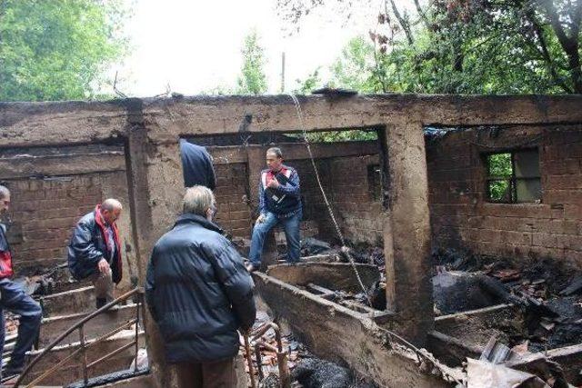 Ordu'da Ahır Yangınında 14 Büyükbaş Hayvan Telef Oldu