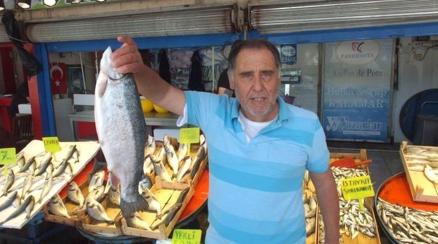 Ramazan&rsquo;da Balık Satışı D&uuml;şt&uuml;