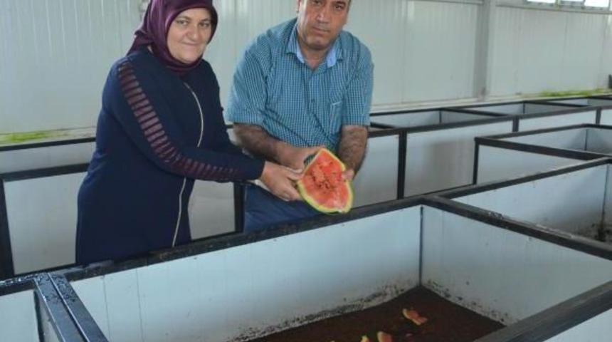 Solucanın G&uuml;bresiyle Bor&ccedil;larını Sıfırladı, 4 De Tesis Kurdu