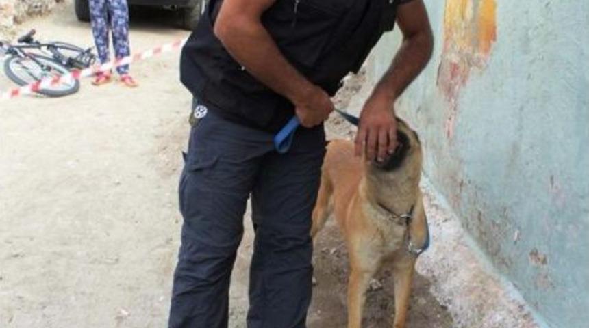 Tadilat Sırasında Havan Mermisi Bulundu