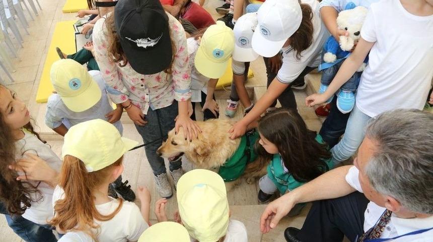 Odunpazarı&rsquo;nın &Ccedil;evreci K&ouml;peği Abdiş