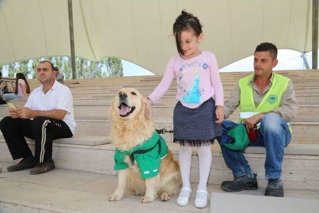 Odunpazarı&rsquo;nın &Ccedil;evreci K&ouml;peği Abdiş 1