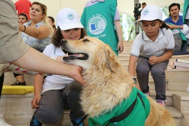 Odunpazarı&rsquo;nın &Ccedil;evreci K&ouml;peği Abdiş 2