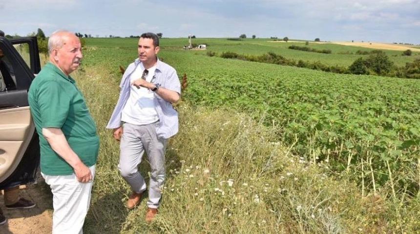 Başkan Albayrak Yağmurdan Zarar G&ouml;ren Mahalleleri Ziyaret Etti