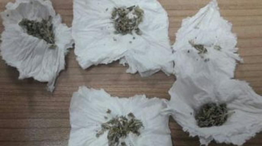 Jandarma Bonzai Ele Ge&ccedil;irdi