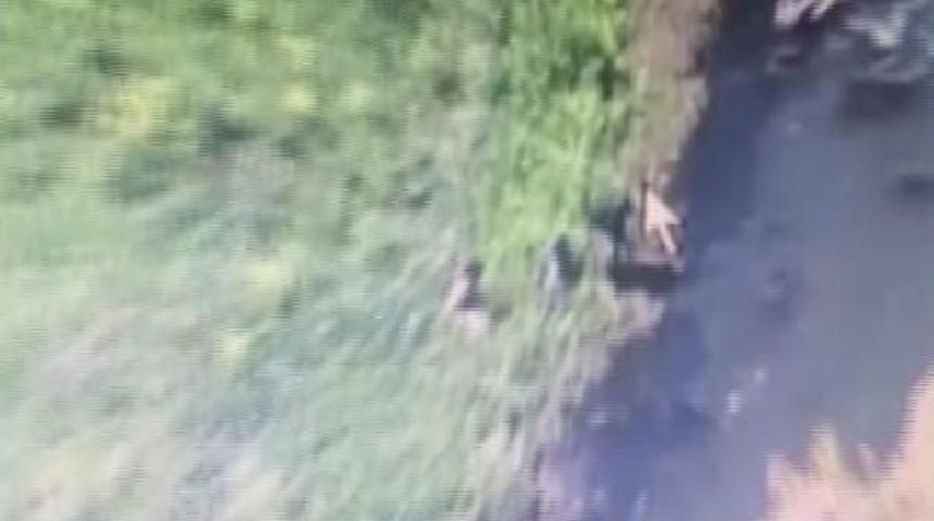 Şemdinli Kırsalında Teslim Olan 4 Ter&ouml;ristin G&ouml;r&uuml;nt&uuml;leri&nbsp;