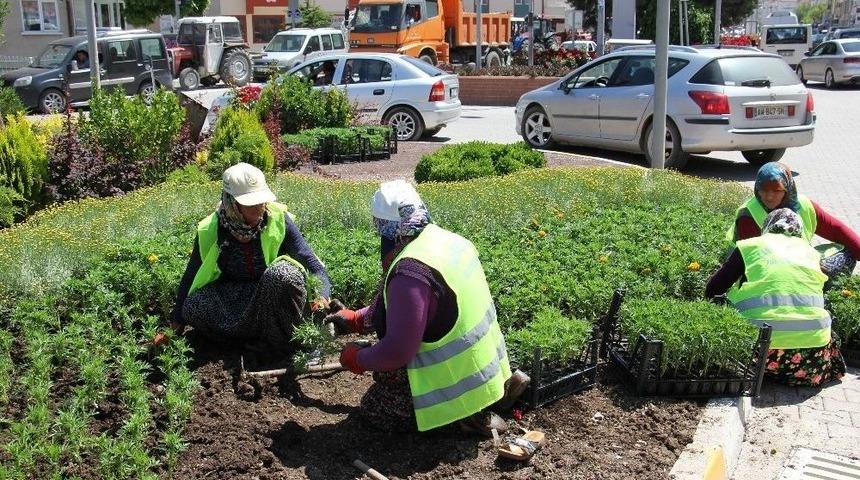 &Ccedil;ankırı&rsquo;da Sokaklar Renkleniyor