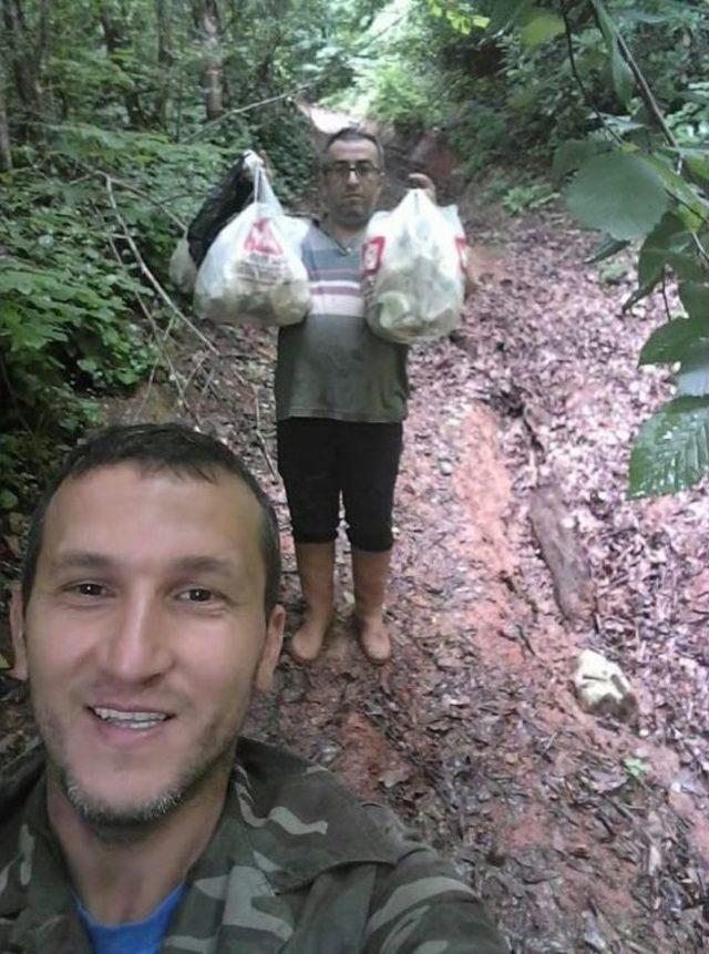 Ormanlık Alanlarda Mantar Bereketi 1